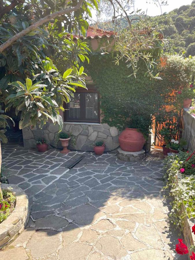Nea Iraklitsa Theodoras House 게스트하우스 외부 사진